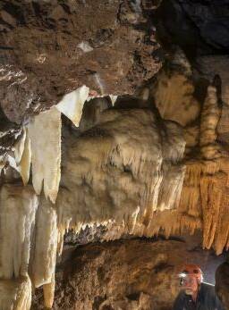  Cliefden Caves.