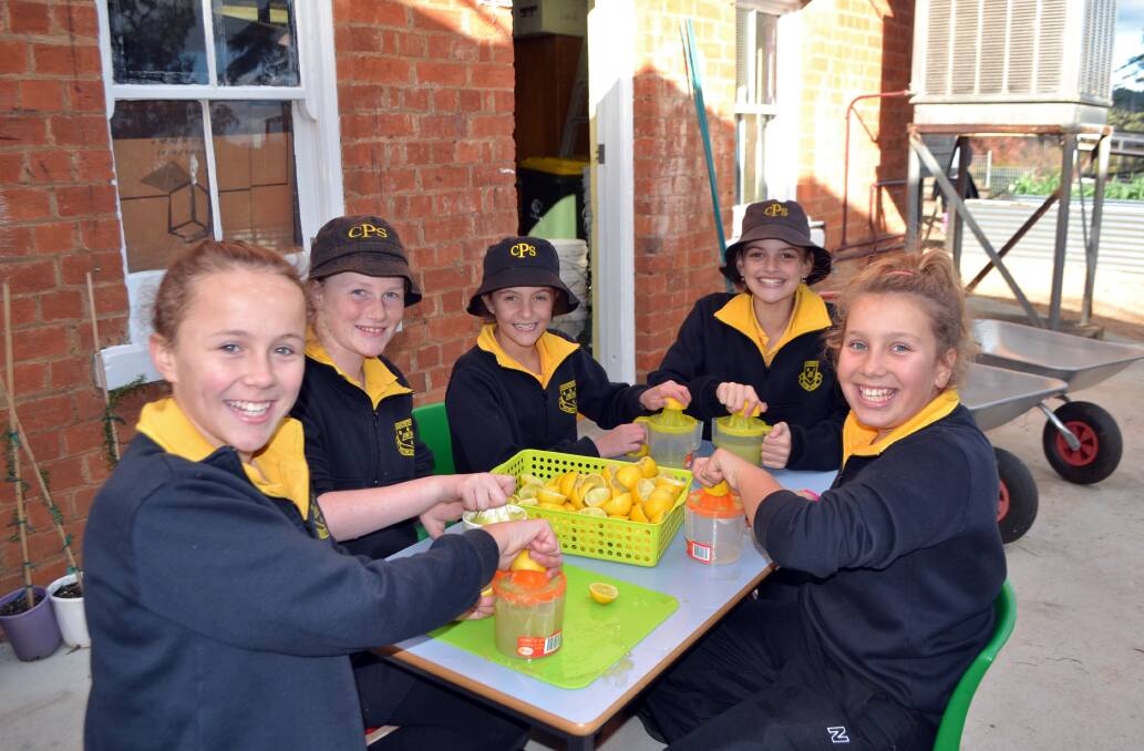 Katie Berkrey, Emma Hines, Kyra Fisher, Leah Troy and Amelia Earsman juicing lemons in garden class. 