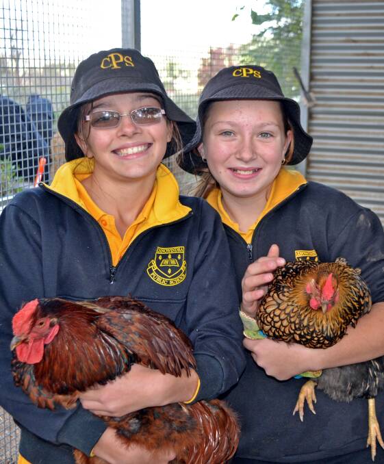 Alisha Stewart and Faith O'Neill with chickens. Laid eggs are sold for $5 a dozen and profits go back towards items for the kitchen and garden. 