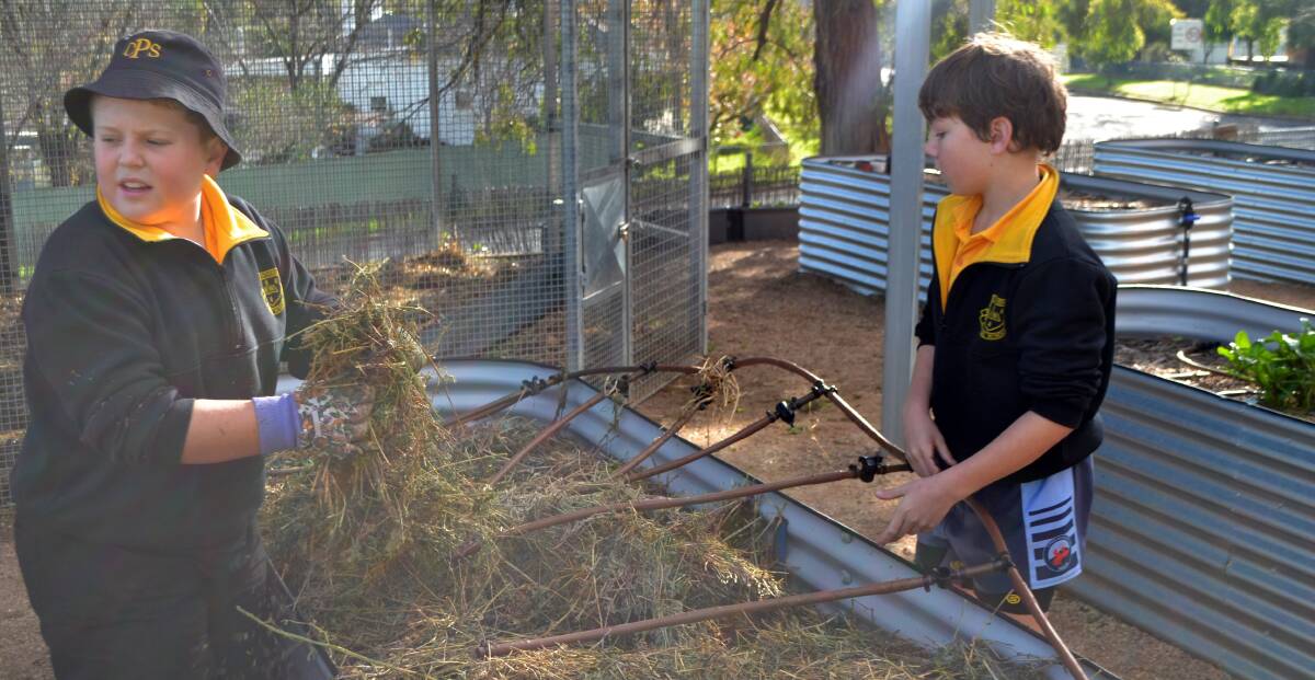 Nathan Boyd and Logan Frost help clean up and set up hoses in the Canowindra Public School garden during class with Mrs Pearce. 