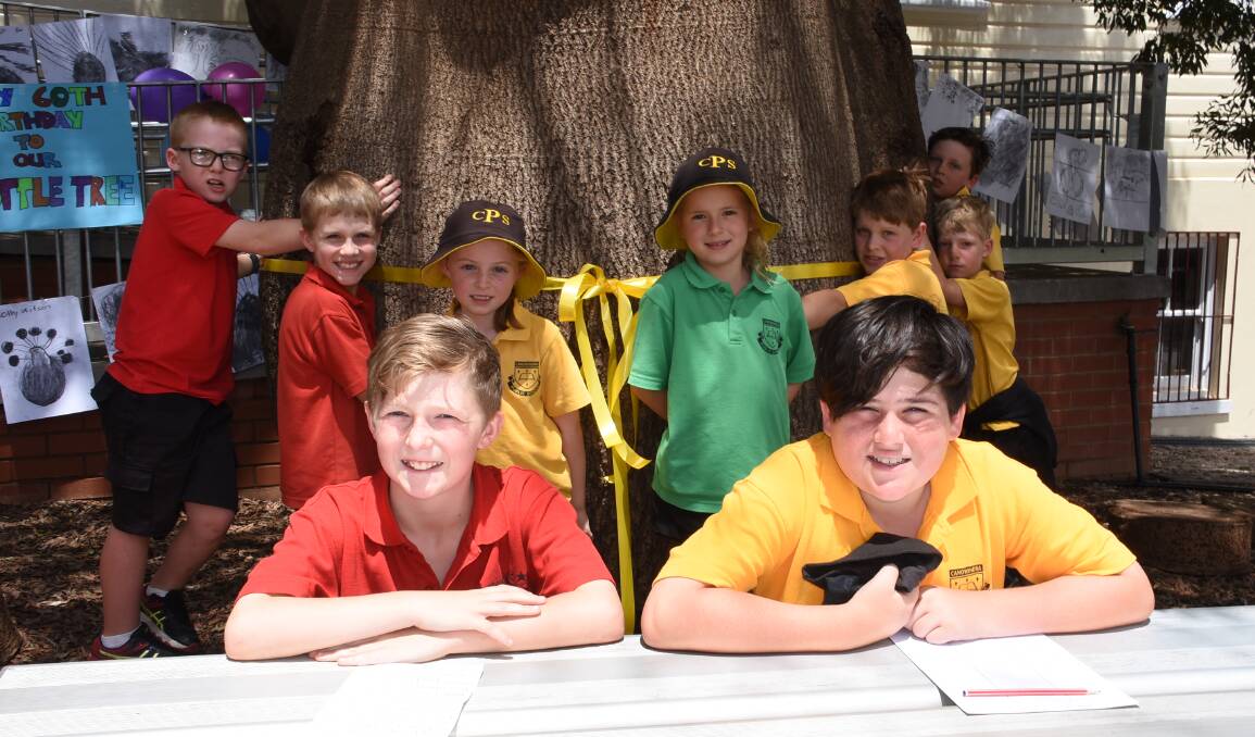 Canowindra Public School students with the 60-year-old Queensland Bottle Tree. Students, staff and the community celebrated the milestone last Friday. 