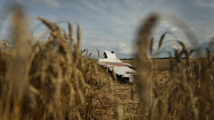 Families of the victims of flight MH17 are angered by the payout offer from Malaysia Airlines, according a lawyer. Photo: Kate Geraghty