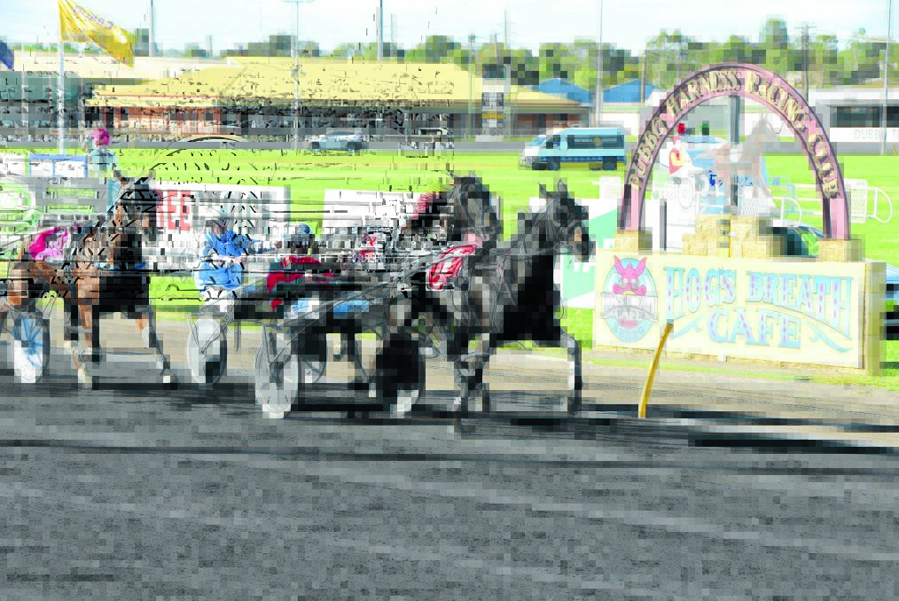 Rue winning with Blackmagic Shannon at the Dubbo Paceway on Sunday. Photo by Brook Kellehear-Smith.