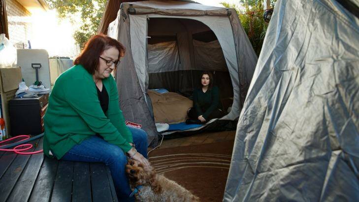 Tanya Martin and her family have been forced to live in tents in their backyard while waiting for insurer AAMI to fix their home in East Maitland. Photo: Max Mason Hubers
