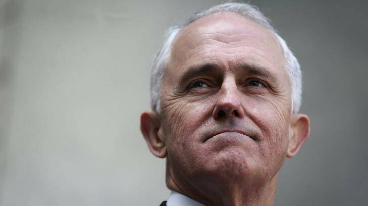 Mr Turnbull has said he remains committed to a plebiscite. Photo: Alex Ellinghausen