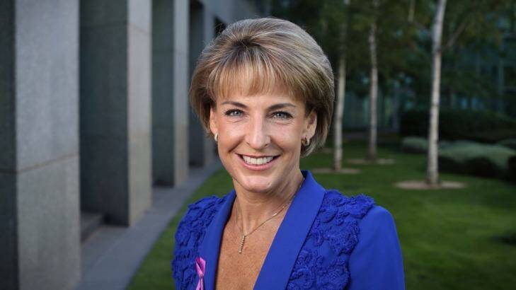 Employment Minister Michaelia Cash. Photo: Andrew Meares