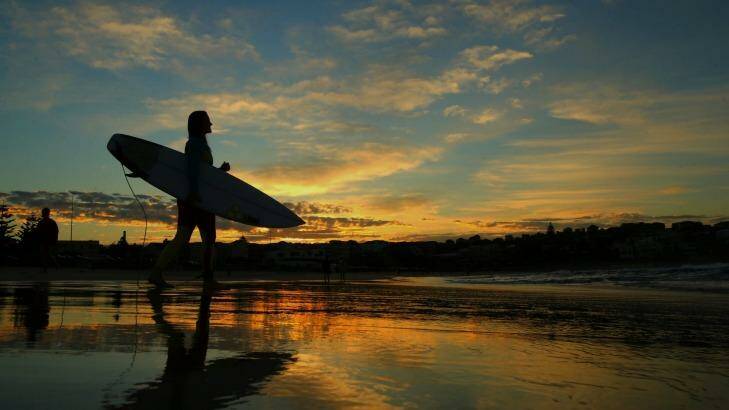 A surfer walks towards the surf at Bondi Beach. Photo: Kate Geraghty