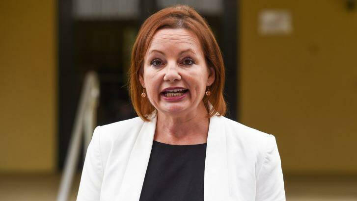 Sussan Ley had been forced to stand aside pending an investigation into her expenses. Photo: Mark Jesser