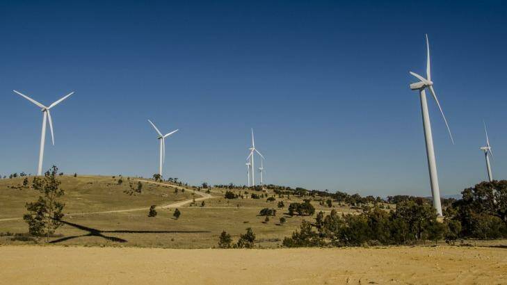 Wind power is increasing its footprint. Photo: Jamila Toderas