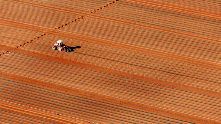 Bracing for dry winters: Farm land in central Victoria. Photo: Jason South