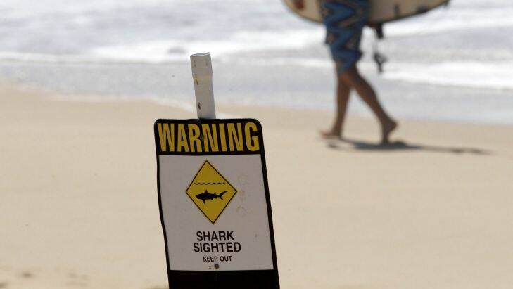 NCH  NEWS,
    Shark sighted generic sign, beack, merewether .
12th February 2015   pic    Darren Pateman