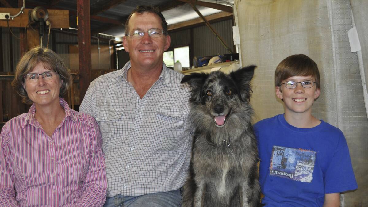 WORKING TOGETHER: Margie and John Lowe with son William and Wolfie the Australian Koolie 