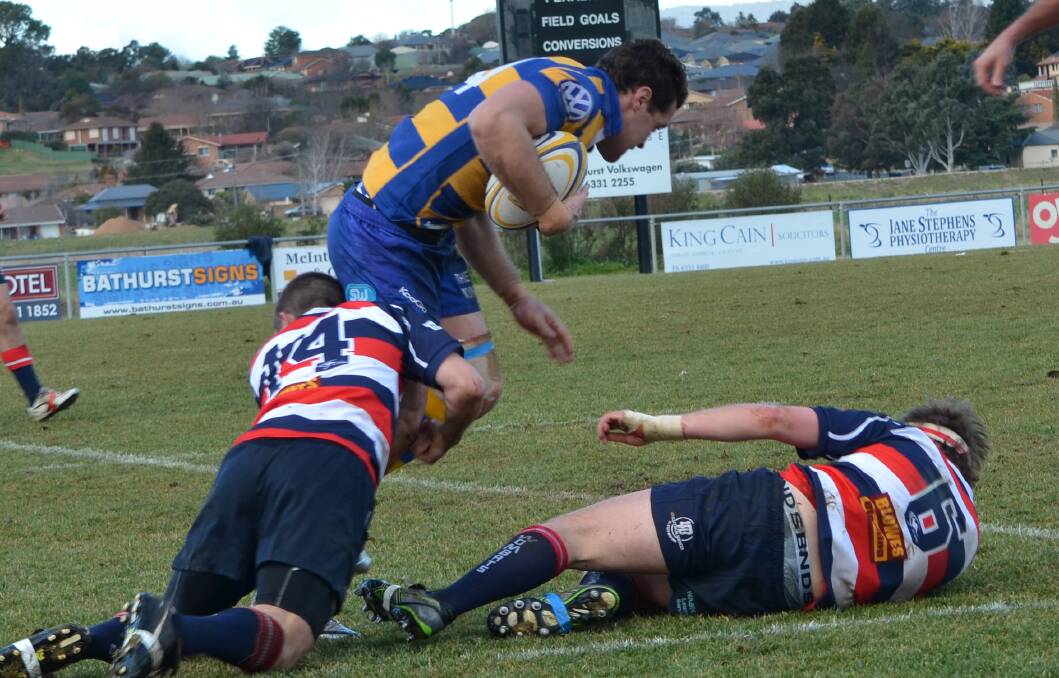 SPEED: Tom Joseph lines up on the wing for the Bathurst Bulldogs as they travel to play the Narromine Gorillas tomorrow. Photo: ANYA WHITELAW 	072614ybulldogs6