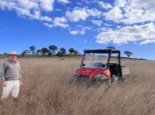 GRASS MASTER: The growth on Paul Newell's property is beyond luxuriant but there's been no fertiliser or herbicides for 22 years. Photo: Josh Keefe