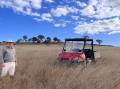 GRASS MASTER: The growth on Paul Newell's property is beyond luxuriant but there's been no fertiliser or herbicides for 22 years. Photo: Josh Keefe