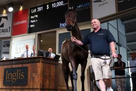 The daughter of champions racehorse Winx sold for a record $10 million at the Inglis Easter Yearling Sale on Monday. Picture Getty Images