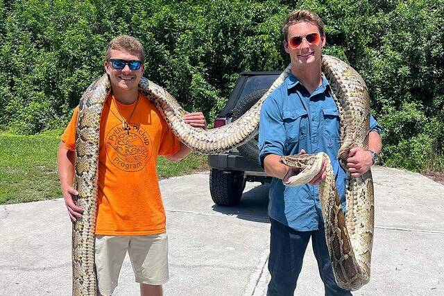 Stephen Gauta and Jake Waleri holding their monster catch. Picture by Glades Boys Python Adventures