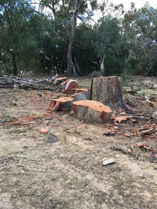 Locals are being reminded by Local Land Services that it is illegal to collect firewood from Travelling Stock Routes.