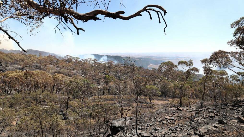  The February blaze took out more than 1600 hectares of bushland.