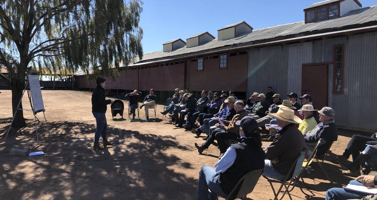 Local Land Services officers have been speaking to producers about animal nutrition in drought conditions. Photo supplied.