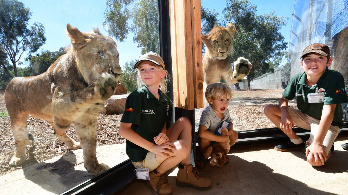 Pride on show: Kasey Clark, Levi Rushbrook and Jamayne Clark get up close and personal with some of the majestic animals. Photo: Belinda Soole.