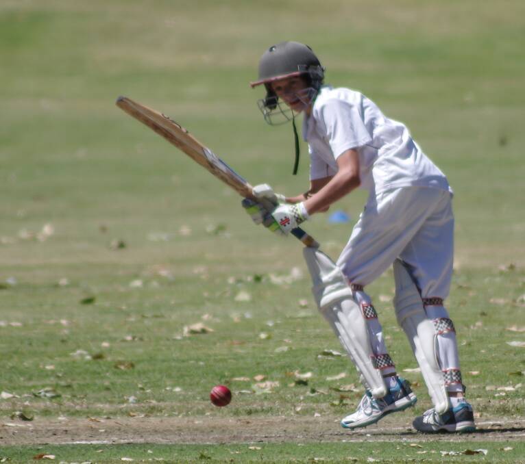 Canowindra will back the younger brigade when they join the Molong District Cricket Competition. Photo: Robin Dale