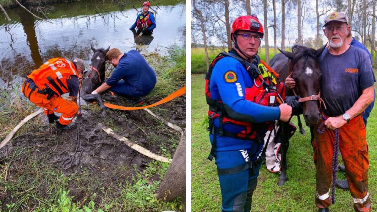It took SES and NSW Fire and Rescue several hours to save the horse. Picture: Port Stephens SES
