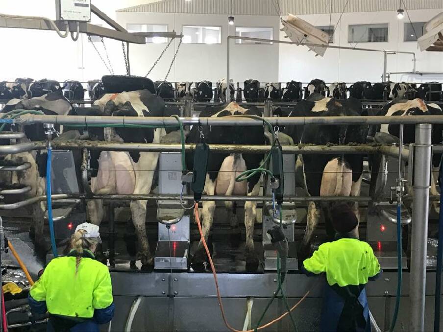 A visit to Moxey Farms dairy near Gooloogong will be part of a Climate Smart conference planned for Cowra on April 18 and 19. Photo facebook.