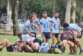 The Pythons in action against last year's Premiers Wellington on Saturday. Photo Jen Sheridan.