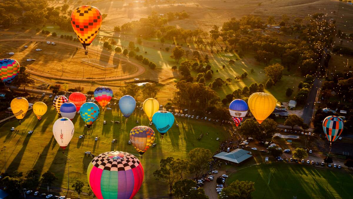 Canowindra's balloon festival committee is looking to employ a director to help organise next year's event.