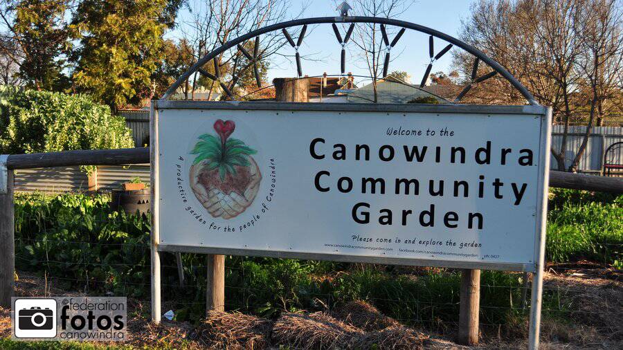 The Canowindra Community Garden has been "mothballed" after a tough summer and a lack of volunteers. Photo by Federation Fotos.