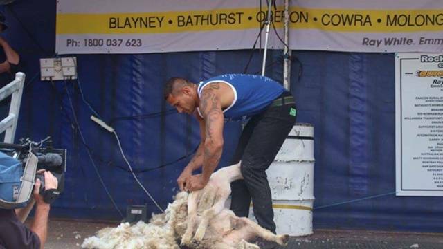 The rural wrap: Royals visit a drought affected farm, comp calls for world-class shearers