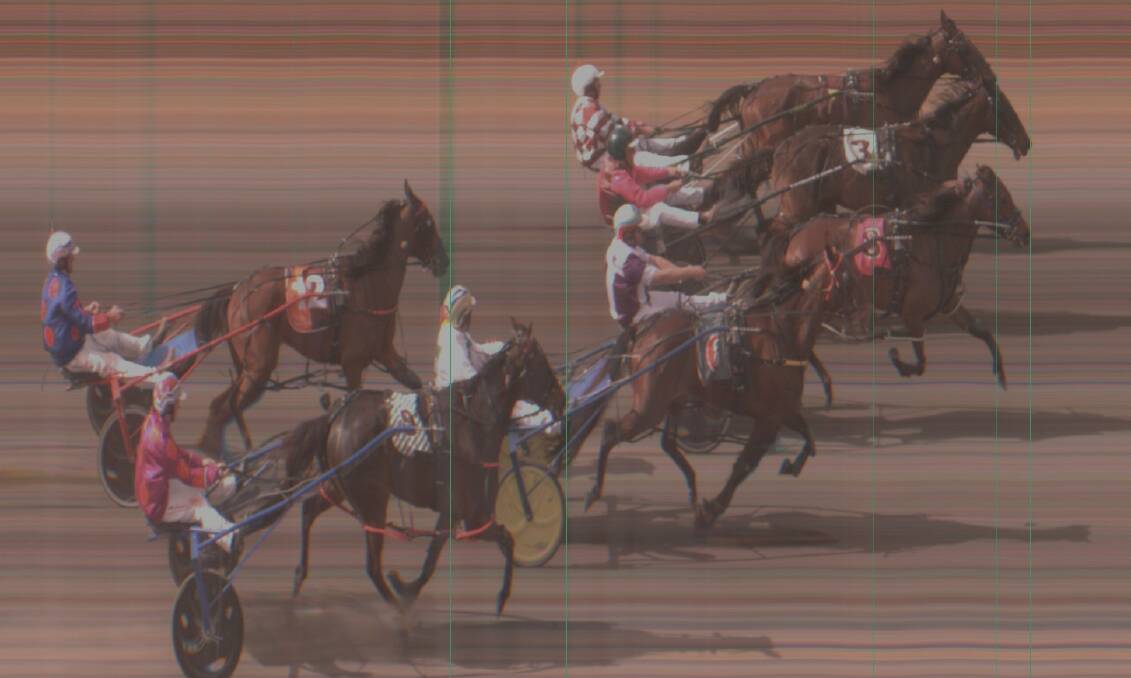 CAN'T BE SPLIT: Redbank Cooper (closest to camera) and Major Comment dead heat in the 2019 Canola Cup. Photo: HARNESS RACING NSW