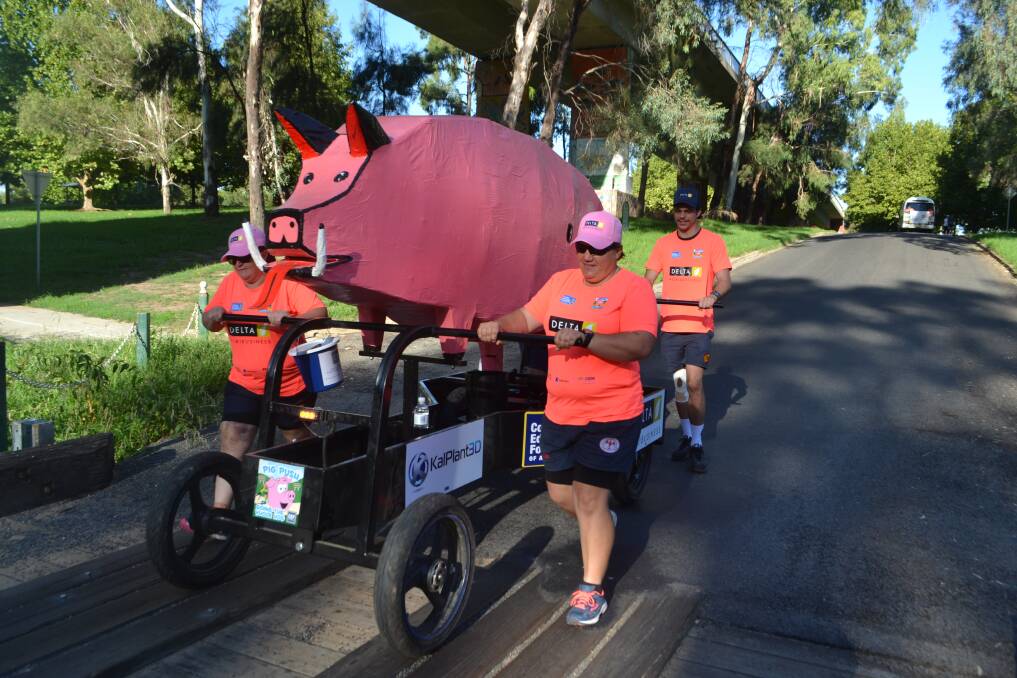 Percy the Pig being pushed on the Low Level Bridge in Cowra on the way to Orange, all in the name of raising money for the Country Education Foundation. 