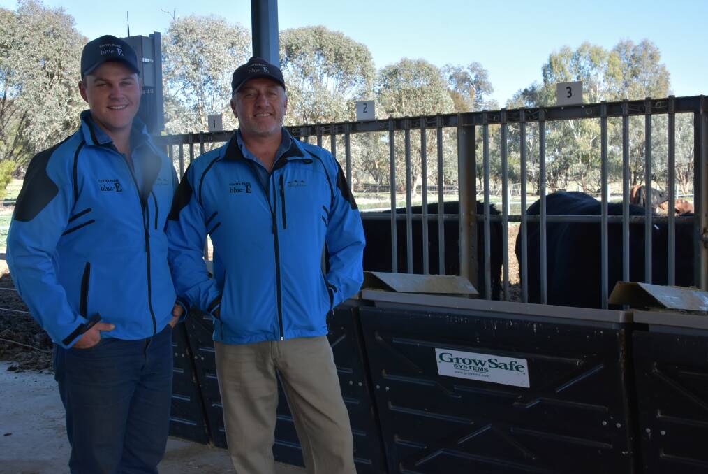 Nick Hovey and Jon Wright will once again welcome local producers and clients to the Coota Park Blue-E Beef Production Field Day. File photo. 