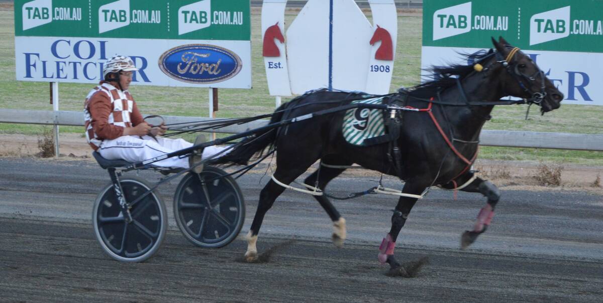 LOCAL HOPE: Be Good Benny, trained by Alectown's Stan Townsend and driven by his son Nathan, will start on the second row in the PHRC Committee Final this Sunday evening. Photo: Kristy Williams.