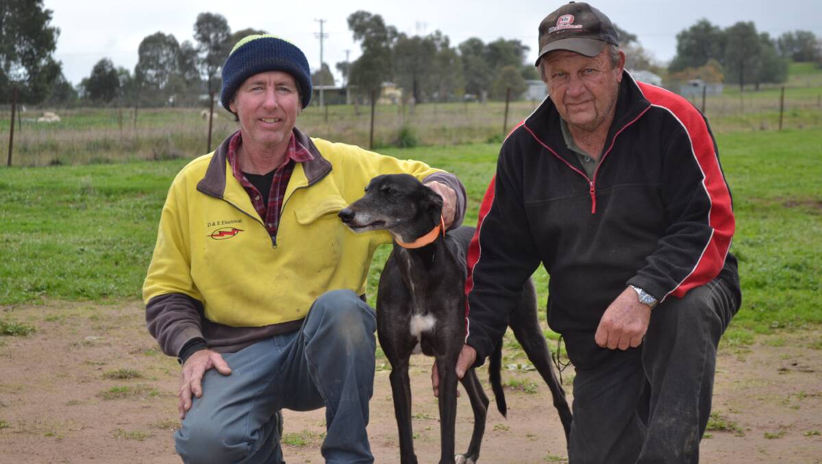 Canowindra greyhound trainers David and Ned Grant, pictured with Cheeky Grant, are enjoying the form of emerging kennel-star Justa Grant.
