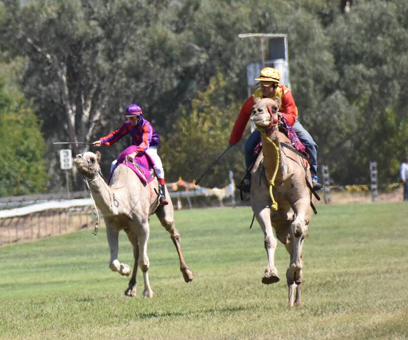 Plans for another action-packed day of camel racing and family fun are coming together. File photo.
