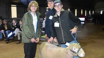 Raph Cuddy, Samuel Bullock and Jake Hamilton from Canowindra High School were learning more about Poll Dorsets.