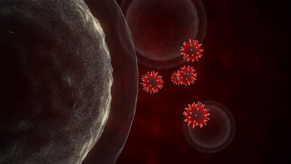 Represetntation of how coronavirus SARS-CoV-2 infects a human body cell. Picture: Shutterstock.