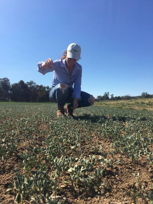 Canowindra's Meg Austin will be one of our region's attendees at the UNICEF NSW Youth Summit on Living with Drought.