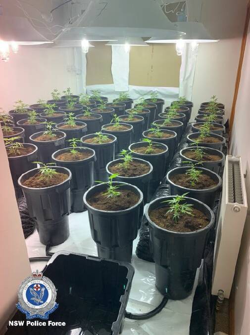 Part of the cultivation set-up. Photo: NSW Police