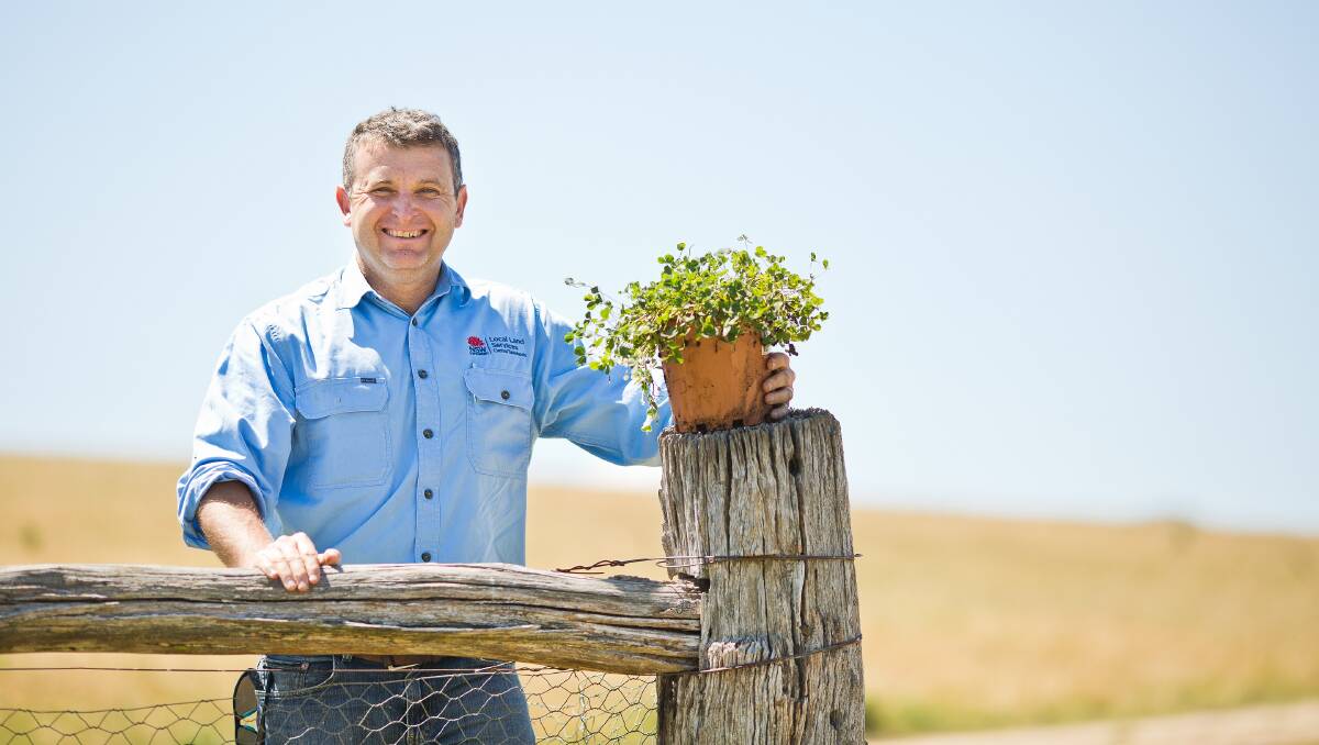 Local Land Services' Senior Land Services Officer Pastures, Phil Cranney, says this is the year to look after sub-clover.