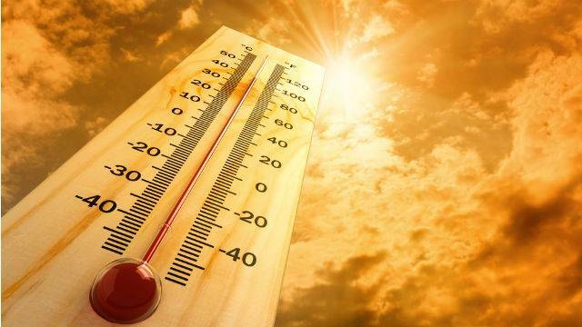 8 tips to survive the heat | Poll