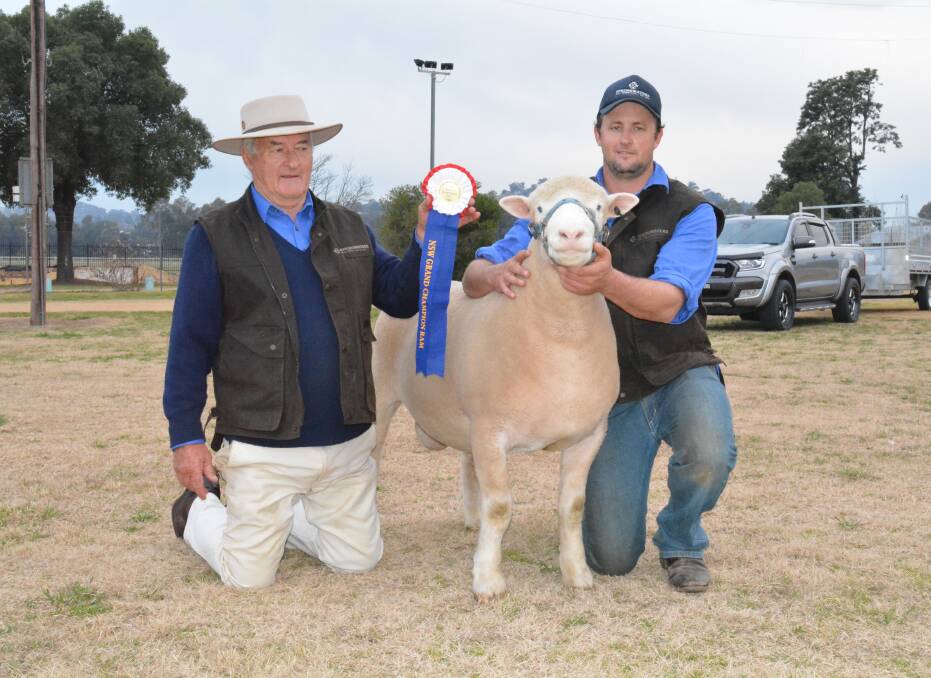 Strong showing: Dennis and Dane Rowley from Boorowa's 'Springwaters' stud, is always a tough competitor at the Championships. Photo: File