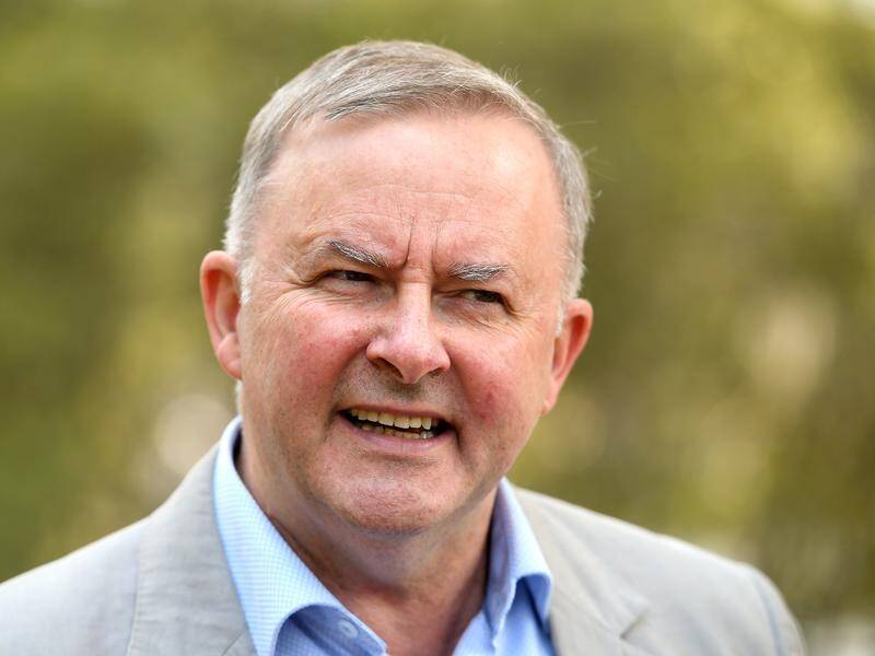 Anthony Albanese says Australia needs a national rail manufacturing strategy.