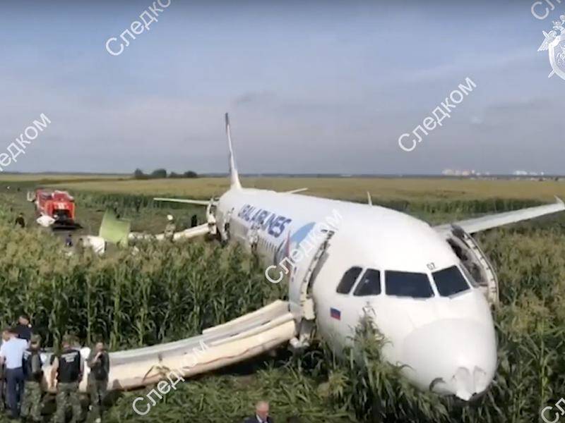 A Russian pilot landed his jet in a cornfield following a bird strike; just one person was injured.