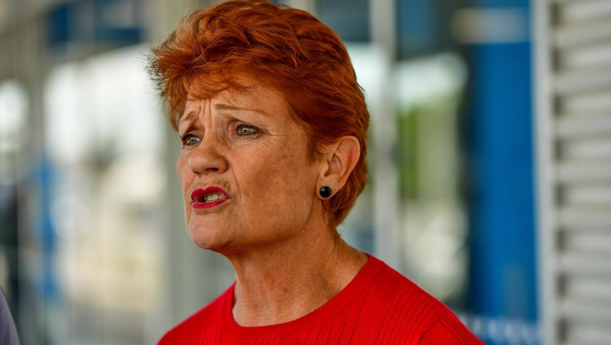 Pauline Hanson. Picture: Scott Gelston