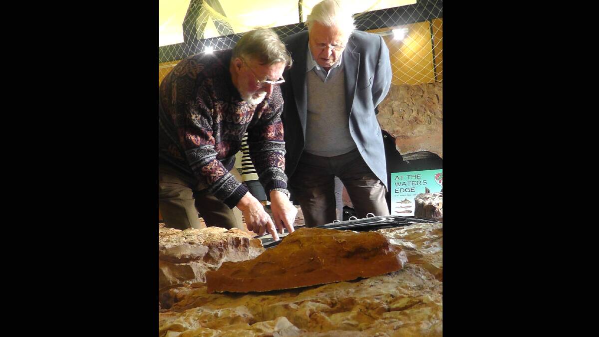 Sir David Attenborough inspects some of 360 million year old fossils at Canowindra’s Age of Fishes Museum with Dr Alex Ritchie (right), who 20 years ago helped excavate the ancient fossils.